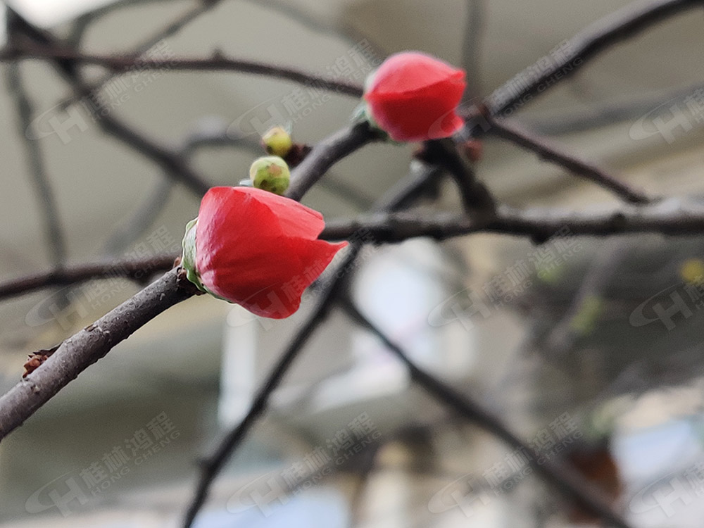 桂林鴻程花團(tuán)錦簇，滿園春色，邀您一起共賞春景，共商大計！