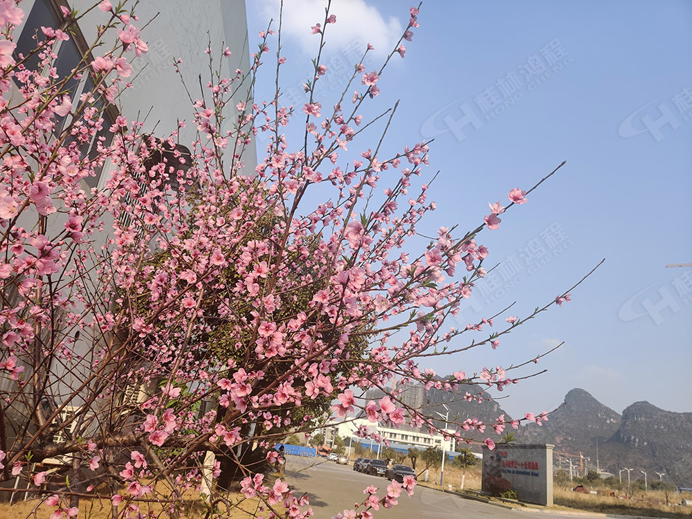 桂林鴻程花團(tuán)錦簇，滿園春色，邀您一起共賞春景，共商大計！